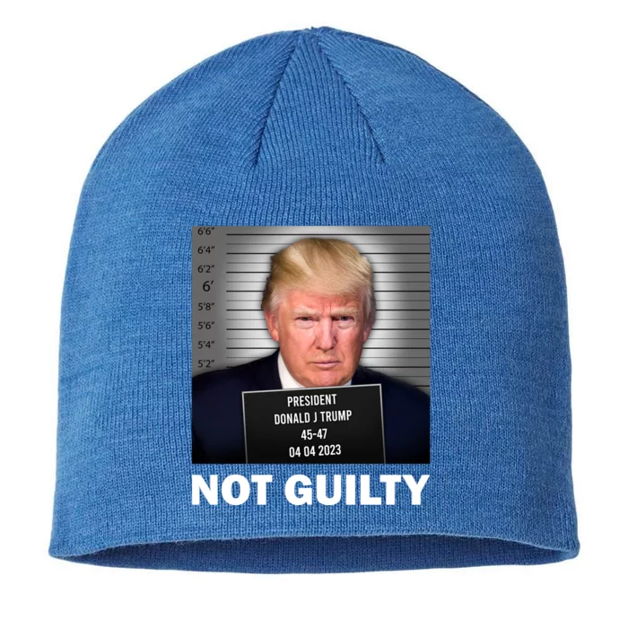 Funny Not Guilty Donald Trump Mug Shot 8 1/2in Sustainable Knit Beanie