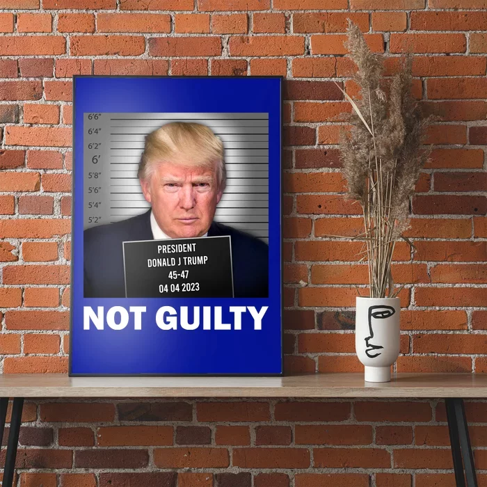 Funny Not Guilty Donald Trump Mug Shot Poster