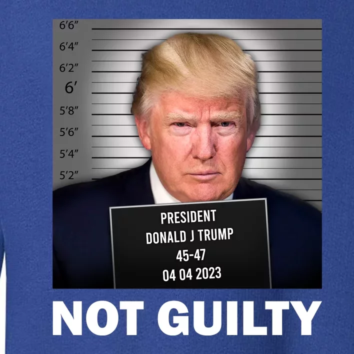 Funny Not Guilty Donald Trump Mug Shot Toddler Sweatshirt