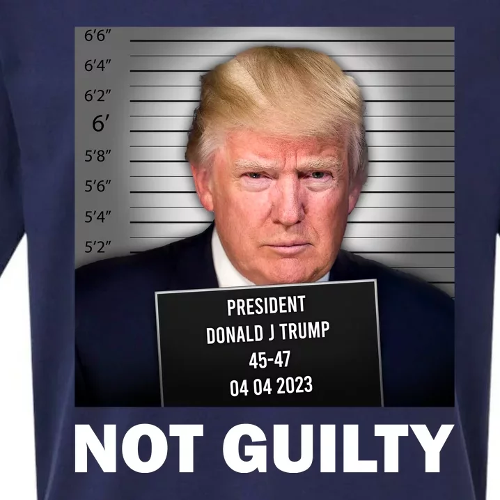 Funny Not Guilty Donald Trump Mug Shot Sueded Cloud Jersey T-Shirt