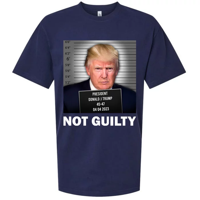 Funny Not Guilty Donald Trump Mug Shot Sueded Cloud Jersey T-Shirt