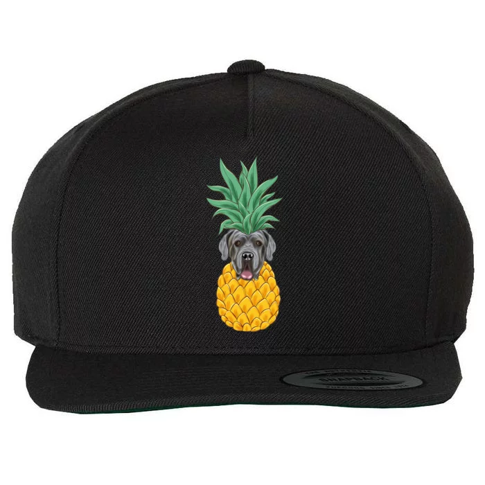 Funny Neapolitan Mastiff Pineapple Dog Wool Snapback Cap