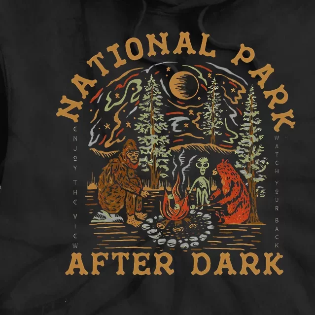 Funny National Park After Dark Tie Dye Hoodie