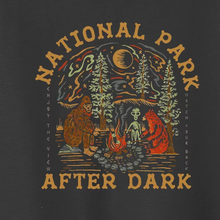 Funny National Park After Dark Gift Toddler T-Shirt