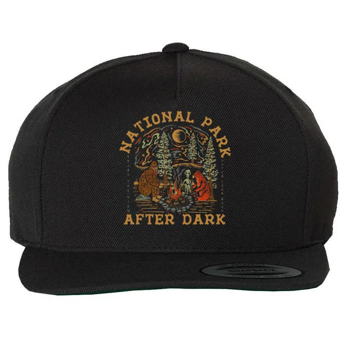 Funny National Park After Dark Gift Wool Snapback Cap