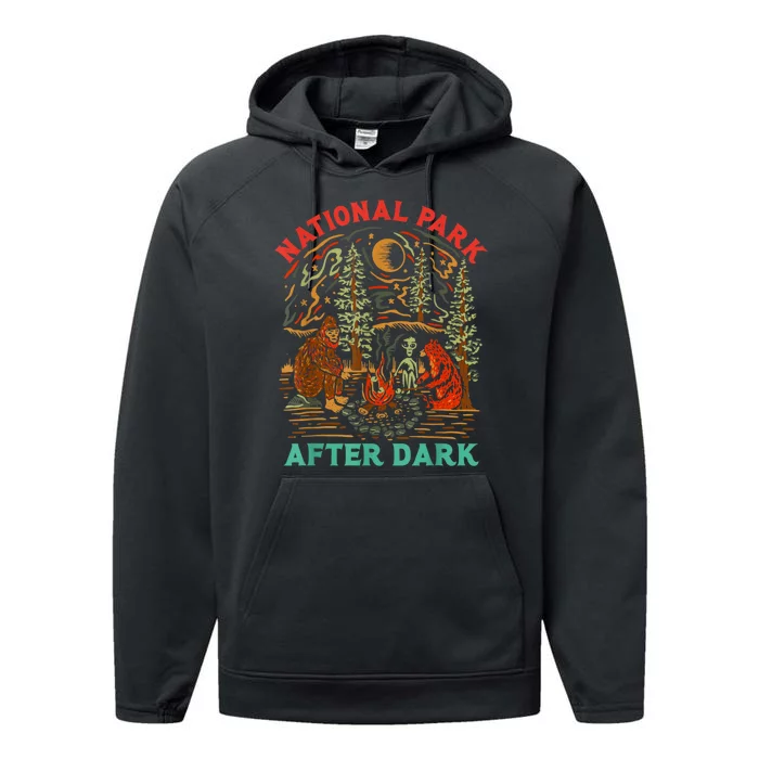 Funny National Park After Dark Performance Fleece Hoodie