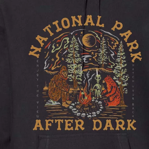 Funny National Park After Dark Adventure Premium Hoodie