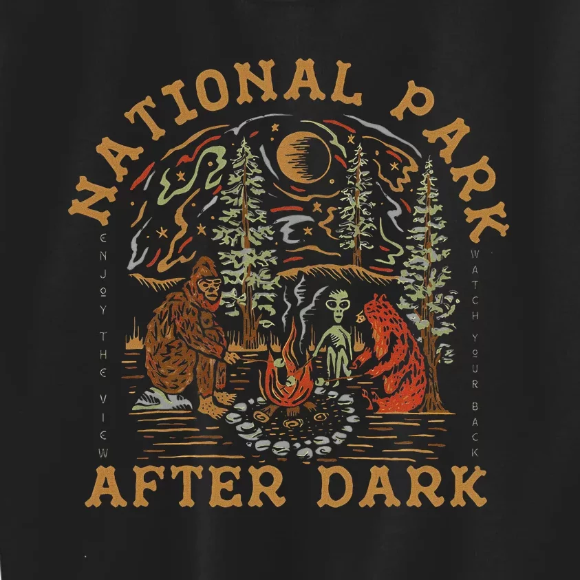 Funny National Park After Dark Kids Sweatshirt