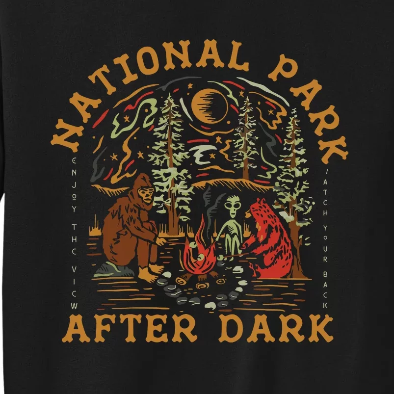 Funny National Park After Dark Sweatshirt