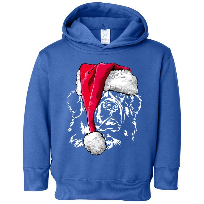 Funny Newfoundland Santa Dog Christmas Gift Toddler Hoodie