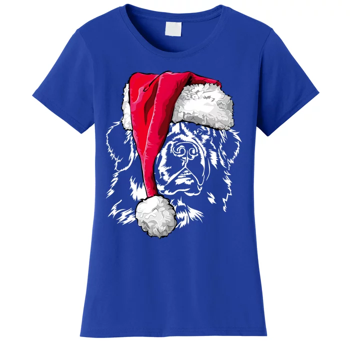 Funny Newfoundland Santa Dog Christmas Gift Women's T-Shirt