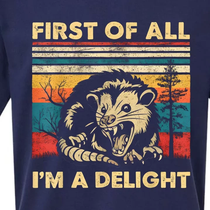 First Of All IM A Delight Sarcastic Angry Opossum Possum Sueded Cloud Jersey T-Shirt