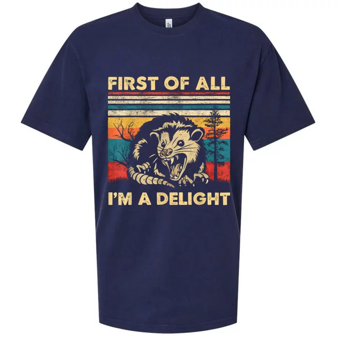 First Of All IM A Delight Sarcastic Angry Opossum Possum Sueded Cloud Jersey T-Shirt