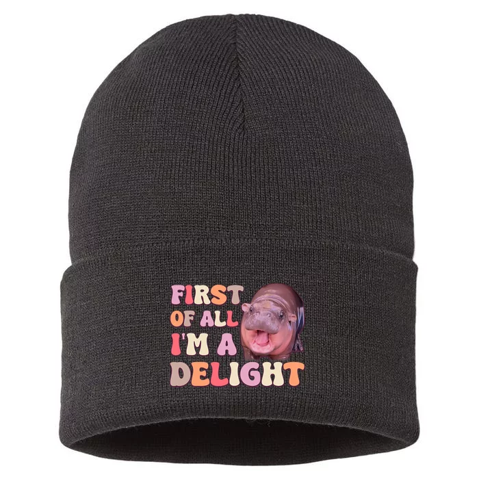 First Of All IM A Delight Moodeng Funny Meme Saying Sustainable Knit Beanie