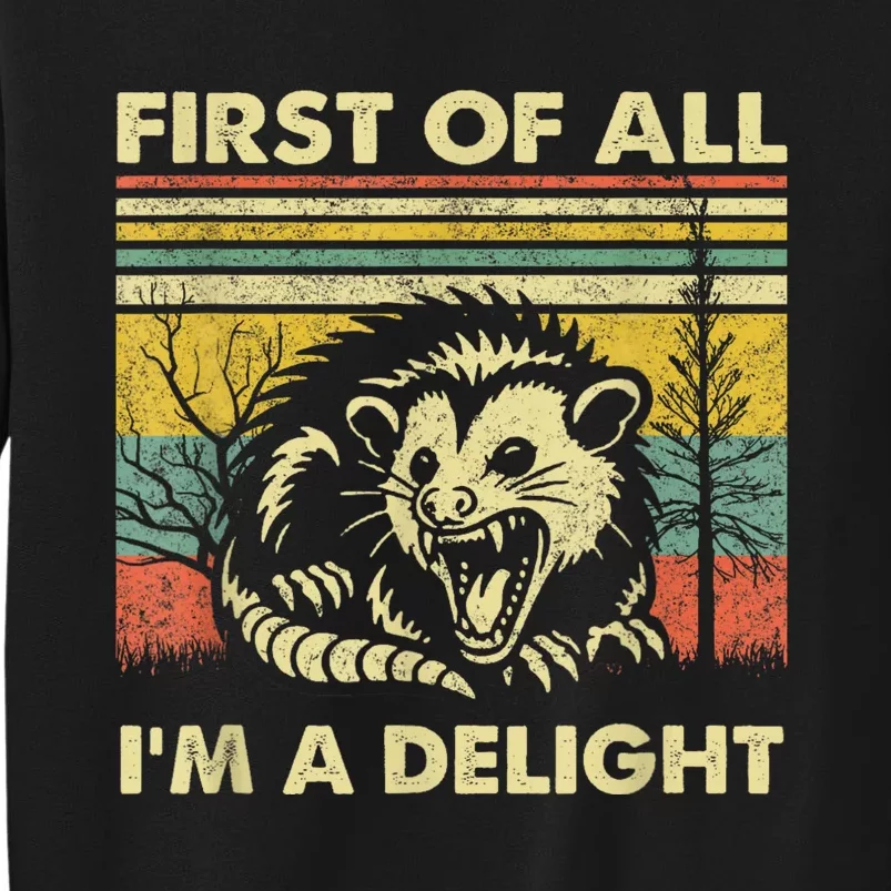 First Of All IM A Delight Sarcastic Angry Opossum Lover Tall Sweatshirt