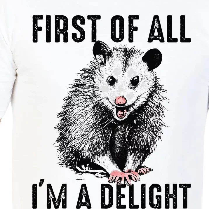 First Of All IM A Delight Opossum Lover Matching Comfort Colors T-Shirt