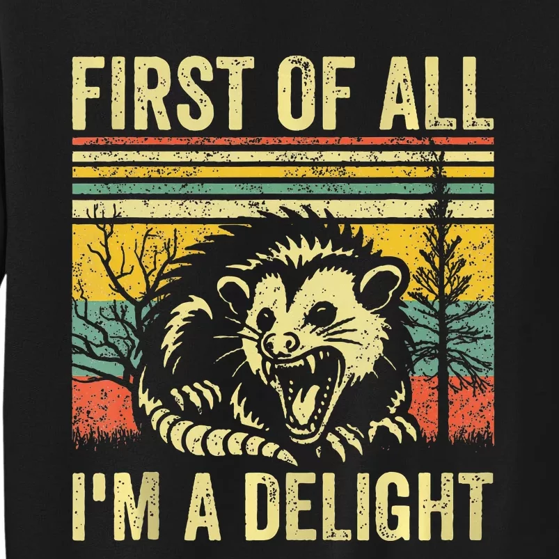 First Of All IM A Delight Sarcastic Angry Opossum Possum Tall Sweatshirt