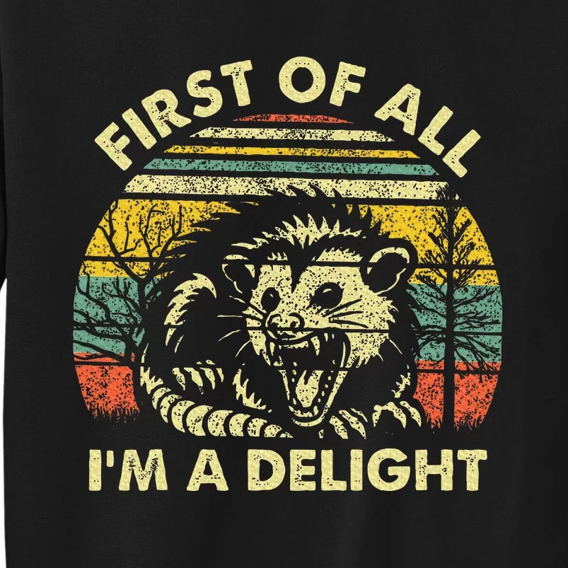 First Of All IM A Delight Sarcastic Angry Opossum Possum Sweatshirt