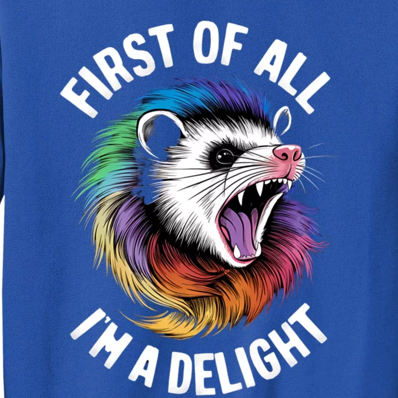 First Of All IM A Delight Sarcastic Angry Opossum Possum Gift Sweatshirt