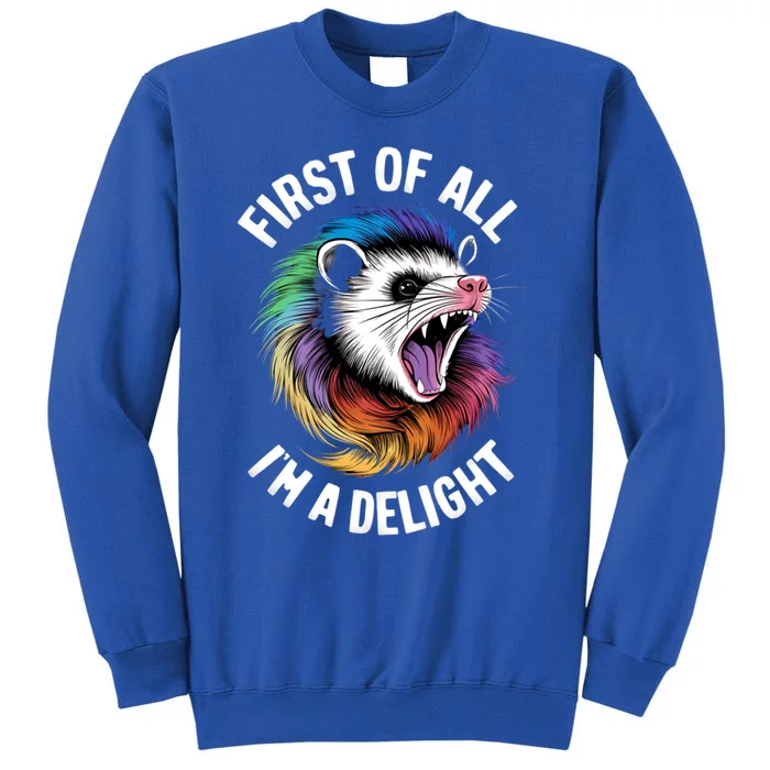 First Of All IM A Delight Sarcastic Angry Opossum Possum Gift Sweatshirt