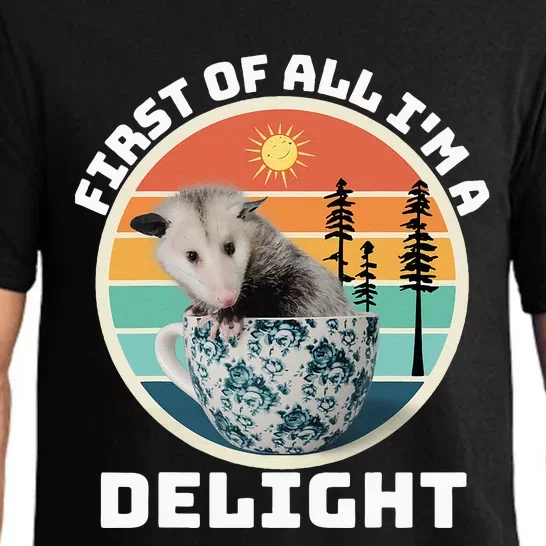 First Of All IM A Delight Sarcastic Angry Opossum Pajama Set