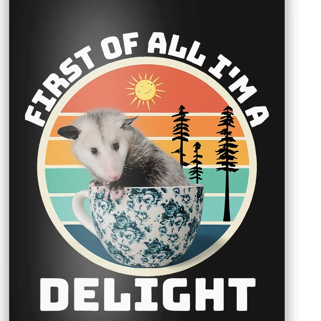 First Of All IM A Delight Sarcastic Angry Opossum Poster