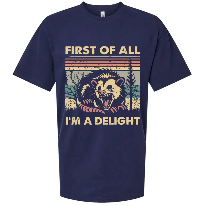 First Of All Im A Delight Vintage Angry Opossum Possum Sueded Cloud Jersey T-Shirt