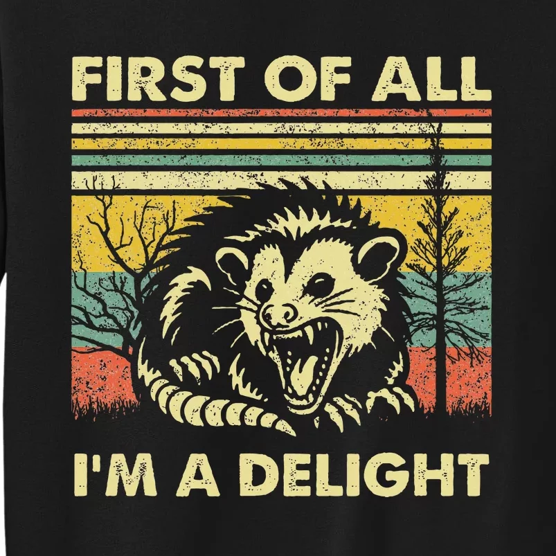 First Of All IM A Delight Sarcastic Angry Opossum Lover Tall Sweatshirt