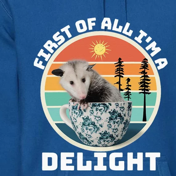 First Of All IM A Delight Sarcastic Angry Opossum Possum Premium Hoodie