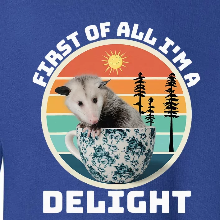 First Of All IM A Delight Sarcastic Angry Opossum Possum Toddler Sweatshirt