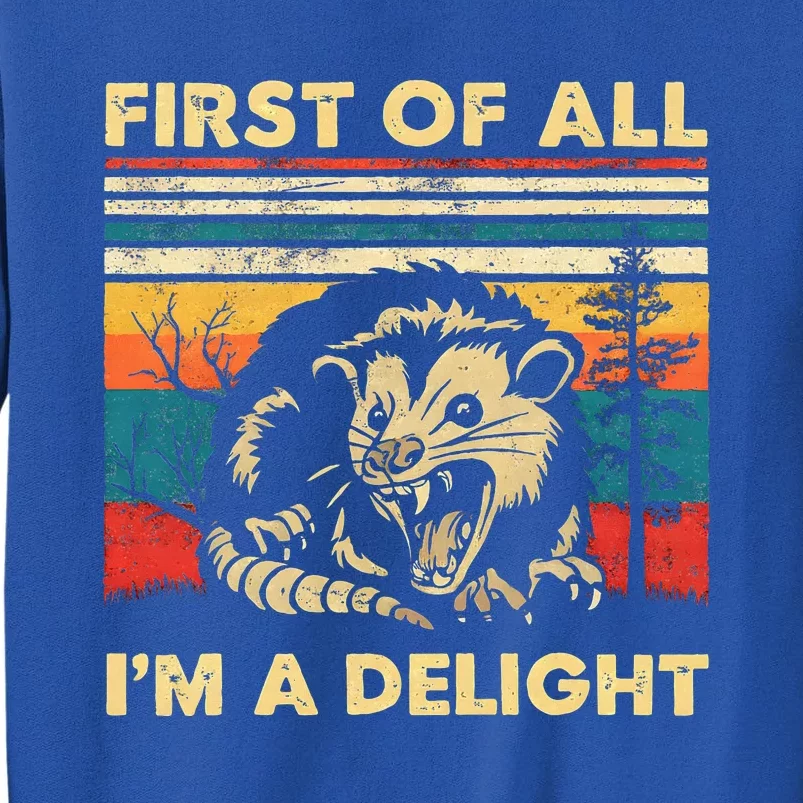 First Of All IM A Delight Sarcastic Angry Opossum Possum Sweatshirt