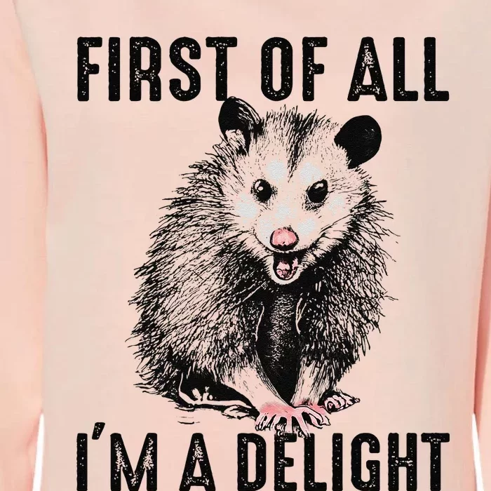 First Of All IM A Delight Opossum Lover Matching Womens California Wash Sweatshirt