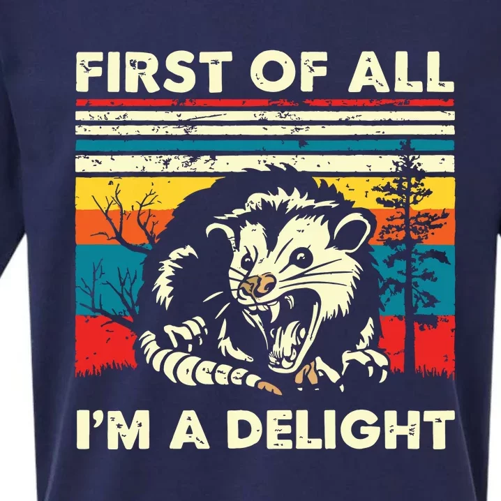 First Of All Im A Delight Sarcastic Angry Opossum Possum Sueded Cloud Jersey T-Shirt