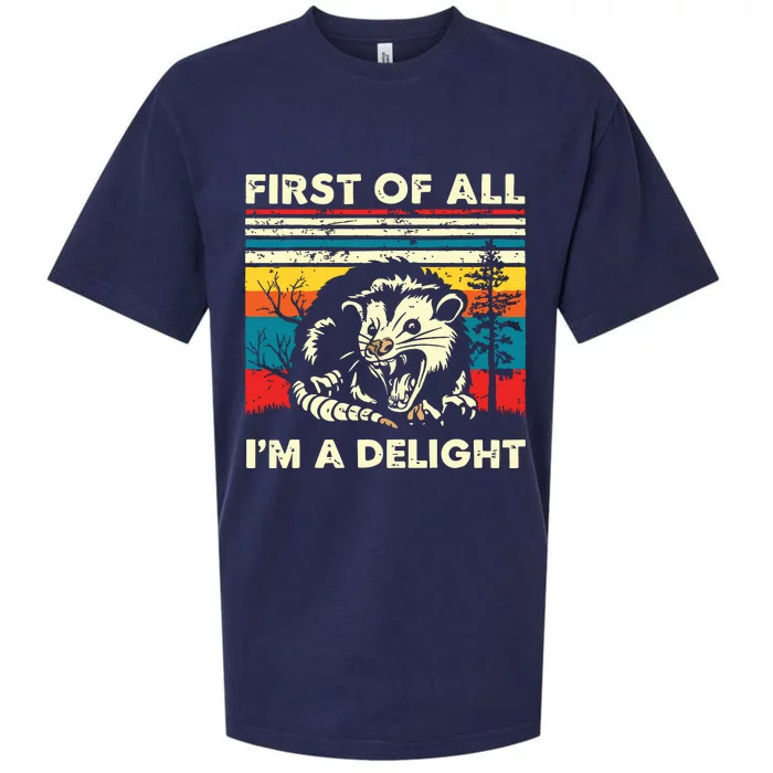 First Of All Im A Delight Sarcastic Angry Opossum Possum Sueded Cloud Jersey T-Shirt