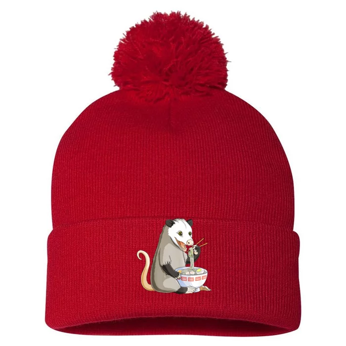 Funny Opossum Eating Ramen Pom Pom 12in Knit Beanie