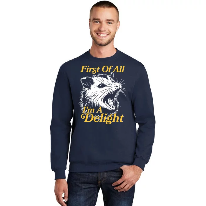 Funny Opossum First Of All Im A Delight Sweatshirt