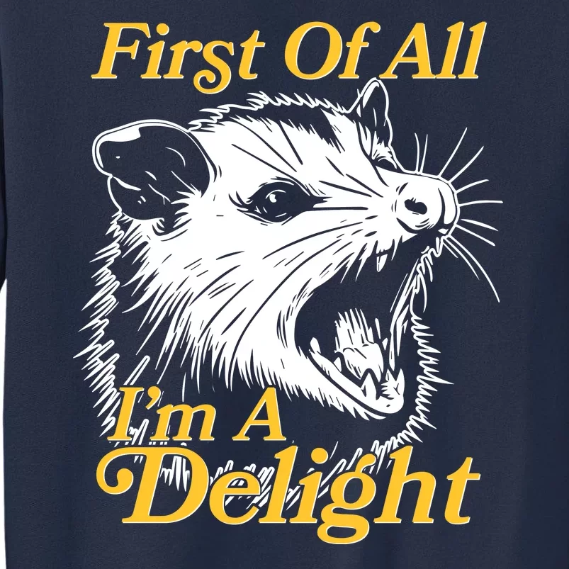 Funny Opossum First Of All Im A Delight Sweatshirt