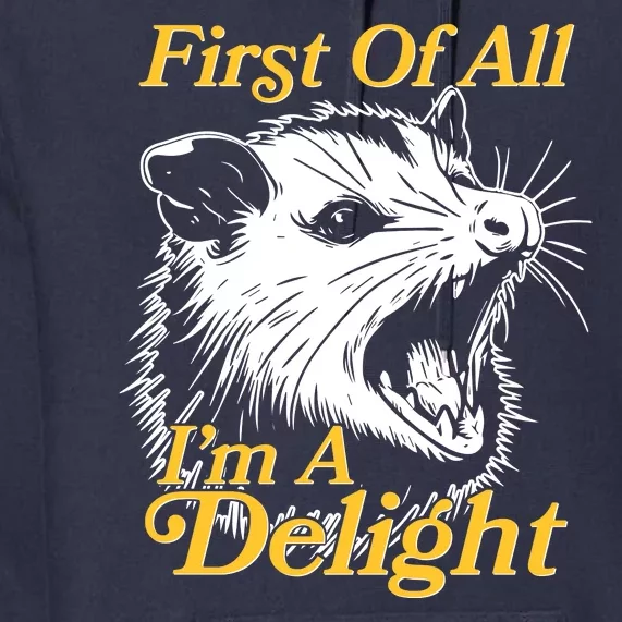 Funny Opossum First Of All Im A Delight Premium Hoodie