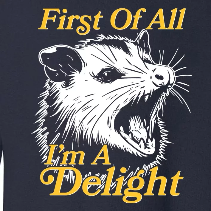 Funny Opossum First Of All Im A Delight Toddler Sweatshirt