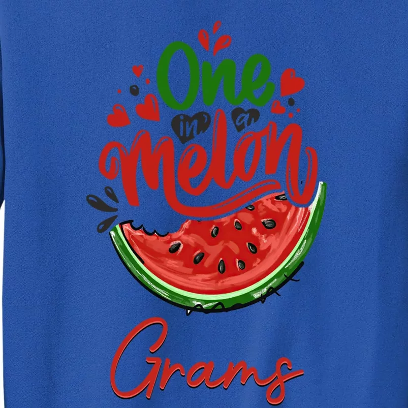 Funny One In A Melon Grams Matching Group Cool Gift Sweatshirt