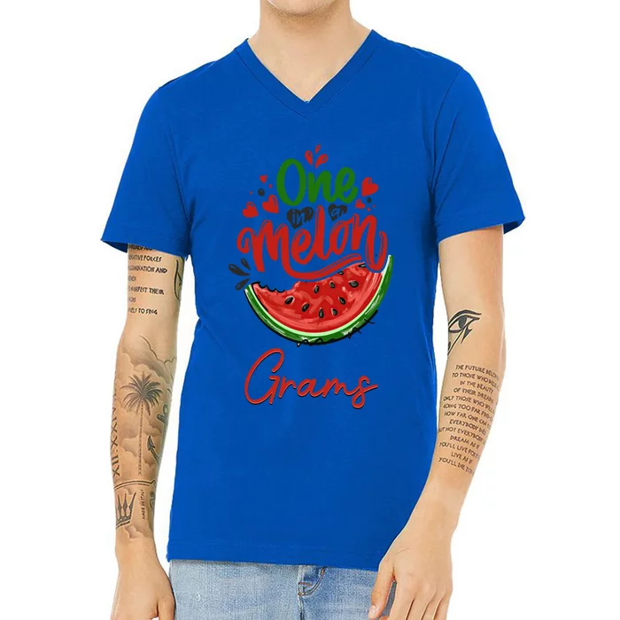 Funny One In A Melon Grams Matching Group Cool Gift V-Neck T-Shirt