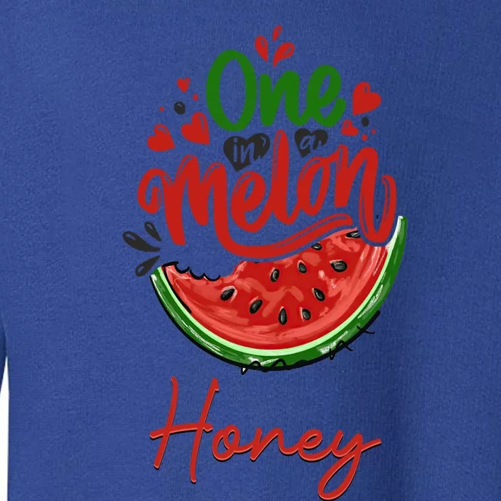 Funny One In A Melon Honey Matching Group Gift Toddler Sweatshirt