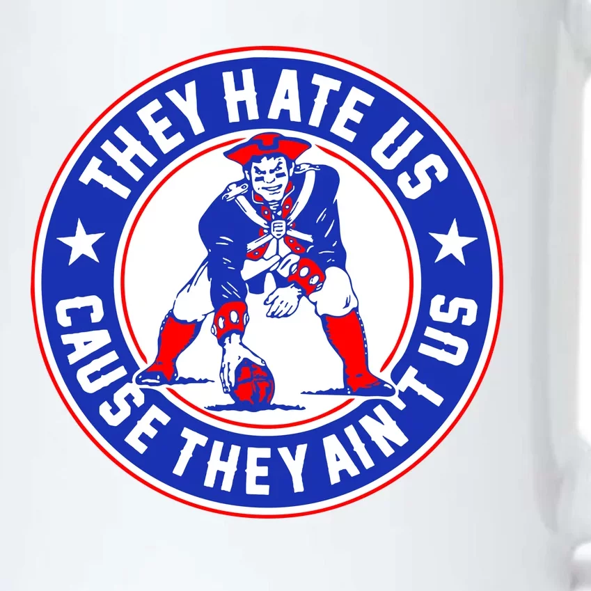 Football Champions They Hate Us Cause They Ain't US New England Black Color Changing Mug