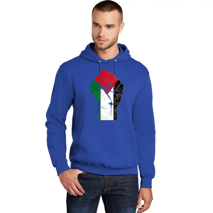 Fist Of Palestine Gift Free Palestine Meaningful Gift Tall Hoodie