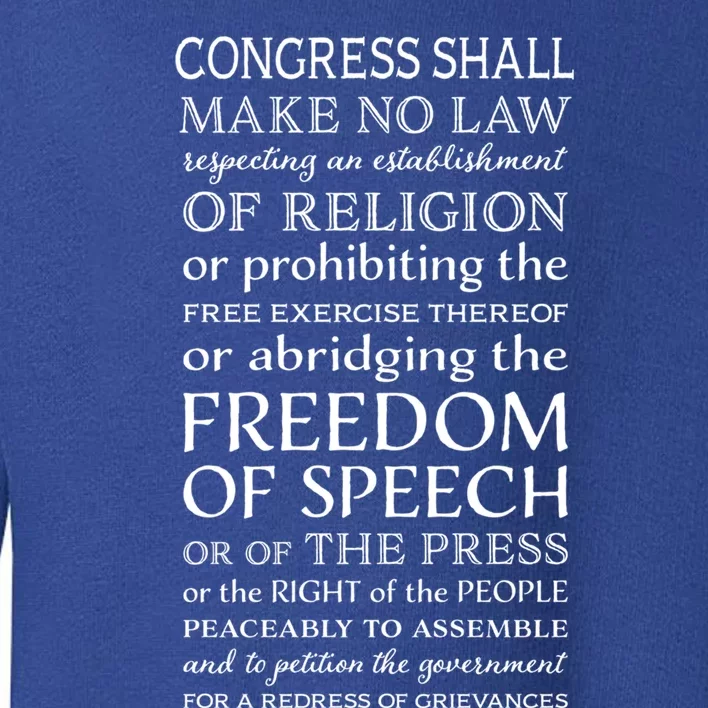 Freedom Of Speech American Bill Of Rights Gift Toddler Sweatshirt