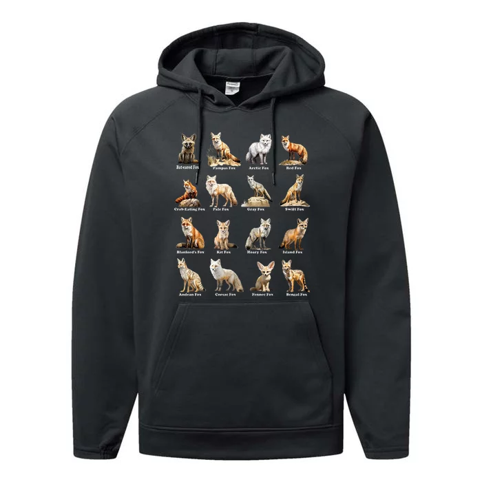 Foxes Of The World Funny Fox Animals Educational Design Performance Fleece Hoodie