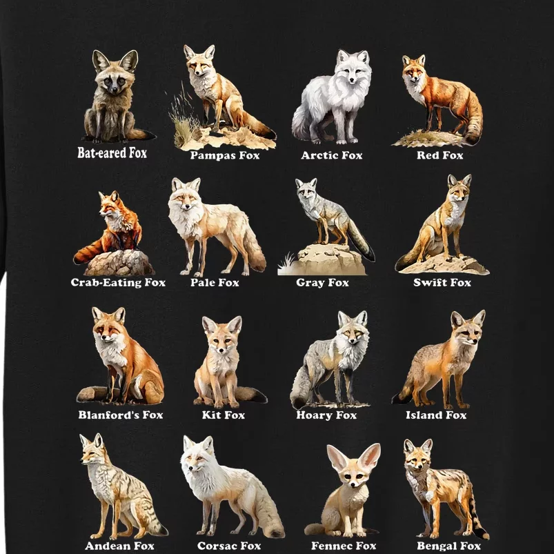 Foxes Of The World Funny Fox Animals Educational Design Sweatshirt