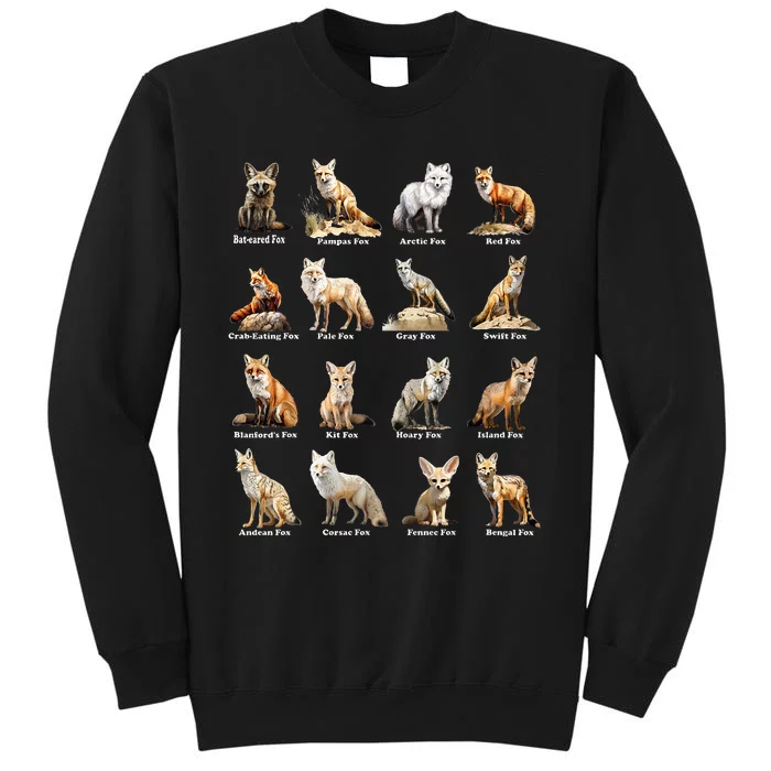 Foxes Of The World Funny Fox Animals Educational Design Sweatshirt