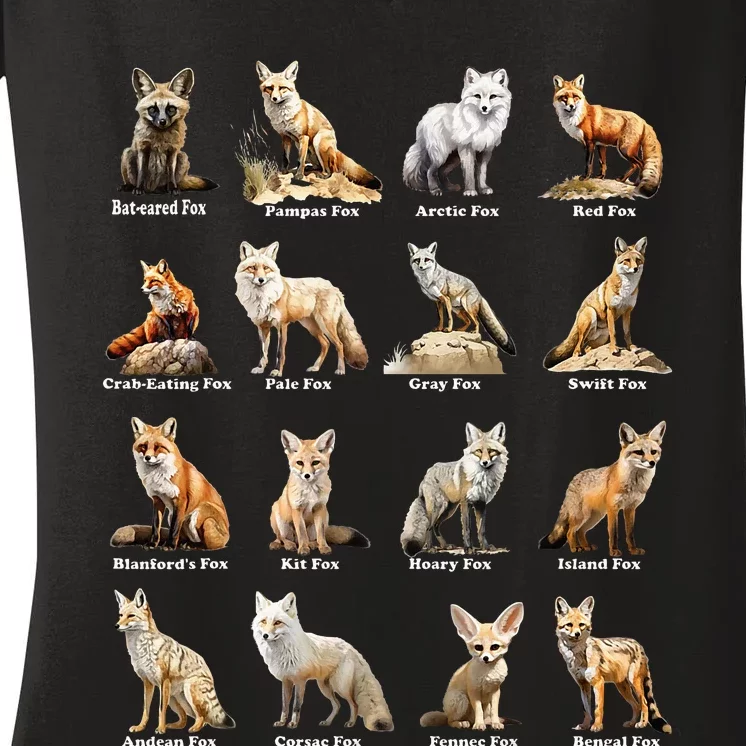 Foxes Of The World Funny Fox Animals Educational Design Women's V-Neck T-Shirt