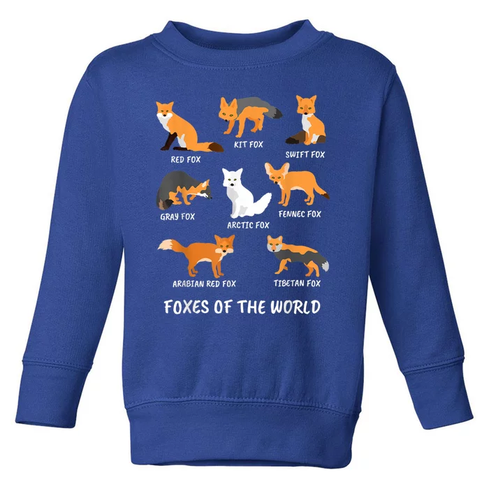 Foxes Of The World Fox Lover Gift Toddler Sweatshirt